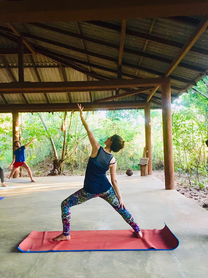 HB Healthy: Yoga | Herbs | Retreats
