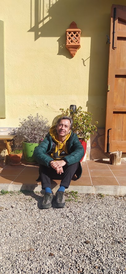 Lluís Alcaraz Pedrol
