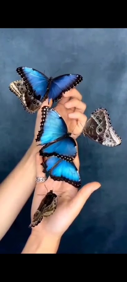 Quiromasaje María