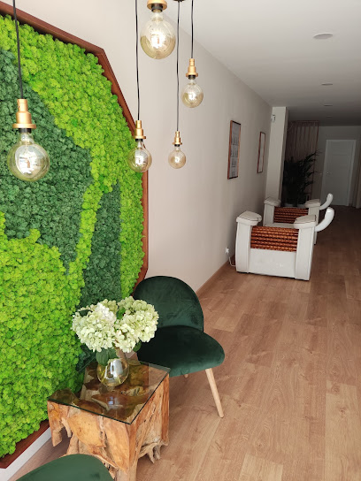 Roll Shape Studio Masajes